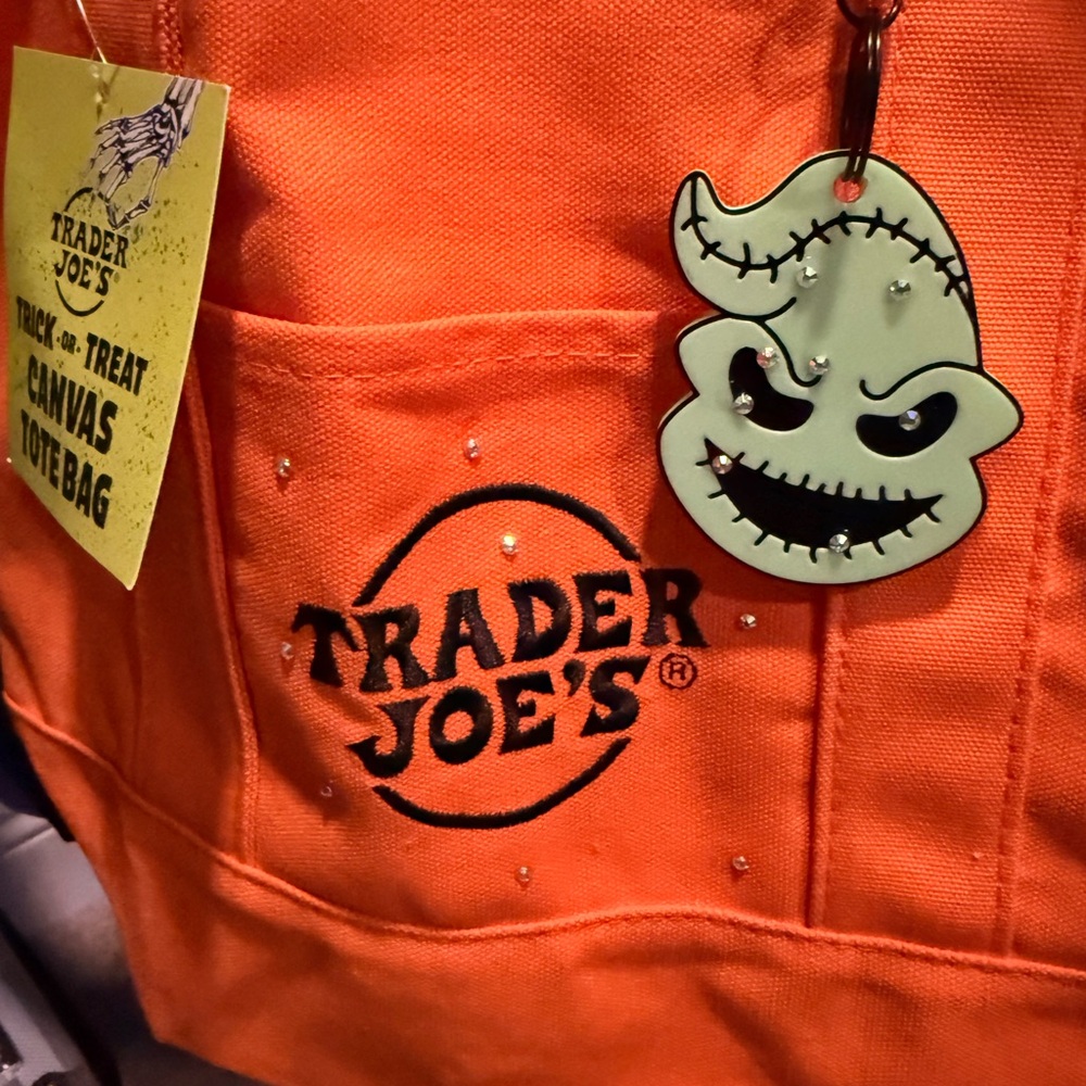 Trader Joe's Purple Canvas Mini Bag